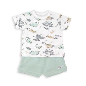 Conjunto baby Dino